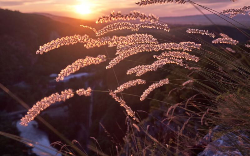 El amor en todo lo que nos rodea y sus manifestaciones