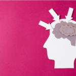 Viaje hacia una comprensión