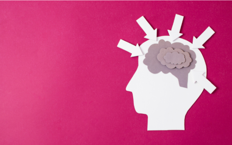 Viaje hacia una comprensión